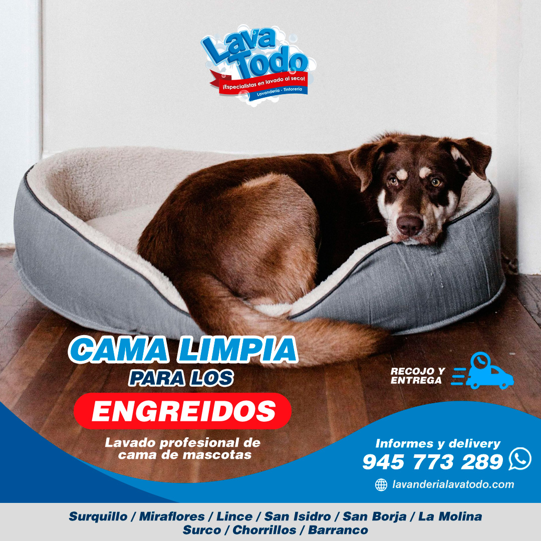 lavado de cama de mascotas Lima