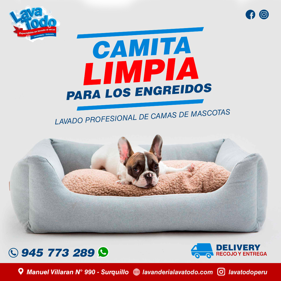 Lavanderia Cama Mascotas Delivery Lima